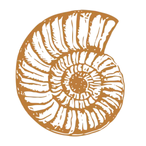 caracola icon