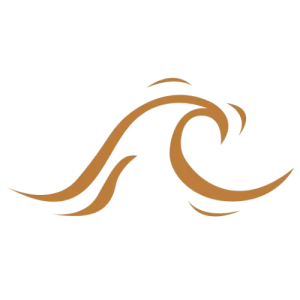 olas icon